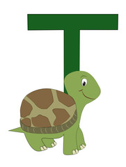 T-turtle