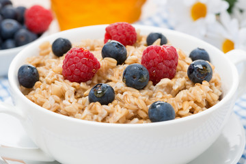 oat porridge with fresh berries, close-up