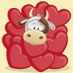 Cow in hearts