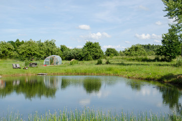 Fototapeta na wymiar village pond greenhouse in summer