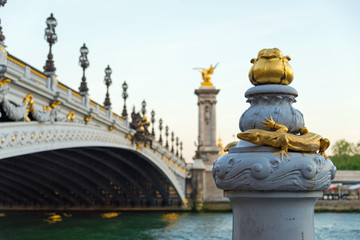 Fototapeta na wymiar pont alexandre III Paris