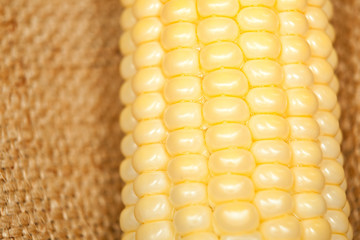 Corn on the cob macro on sackcloth