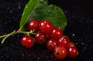 The red currant close up