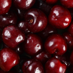 Cherry on the branch with leaves