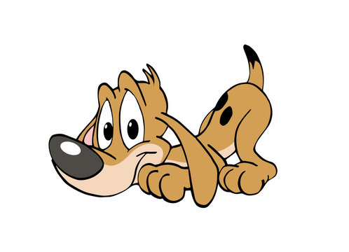 Cute Puppy Dog