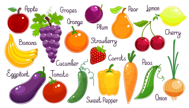 Set of vector fresh fruit and vegetables