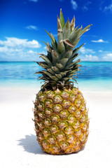 Ananasfrucht am tropischen Strand