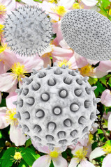 Pollen - 3d Render