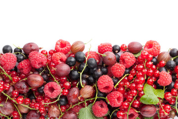 Fresh ripe berries