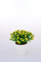 Yellow flower decoration