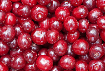 Red Cherries background