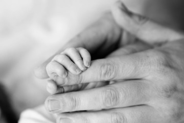 Close-up of baby's hand holding father's finger