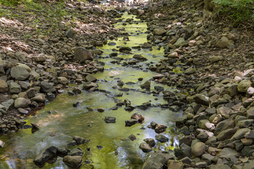 Rocks in the Stream