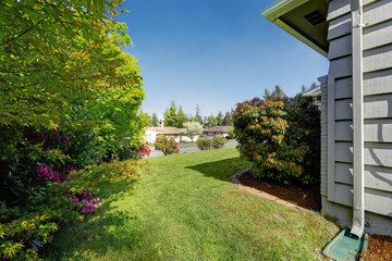 House front yard with blooming rhododendron