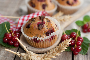Johannisbeermuffins