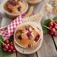 Johannisbeermuffins
