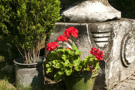 Corner Of Old Garden With Stonework, Plants And Flowers