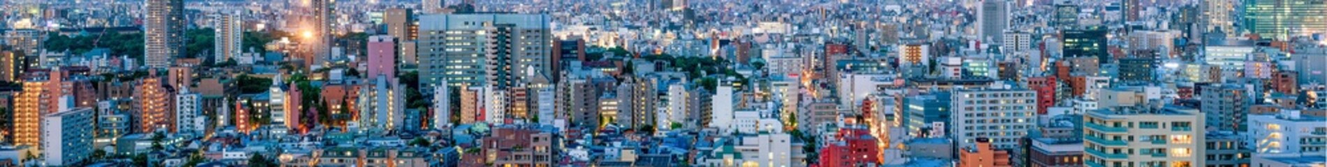 Fototapeta na wymiar Tokyo Panorama