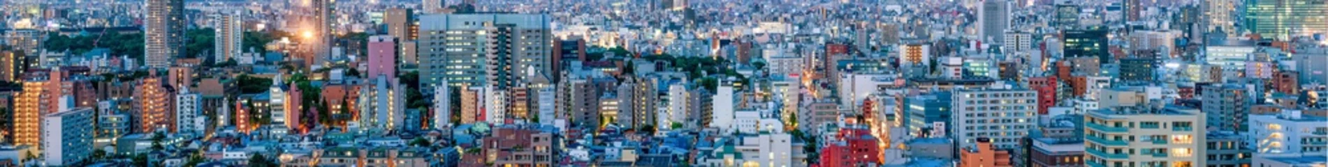 Foto auf Acrylglas Tokio-Panorama © eyetronic