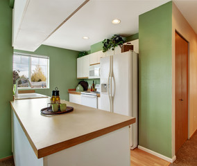 Simple mint kitchen interior in empty house