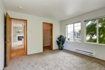 Empty room with palm tree