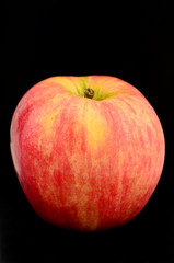 Gala Apple