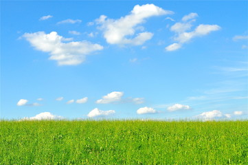 Himmel mit grasgrüner Wiese für Textfläche / Hintergrund