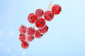 Beautiful ripe red currant in water with bubbles, isolated