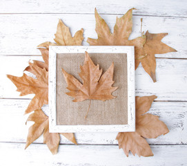 Wooden frame with dried leaves on wooden background
