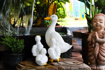 white duck in the garden