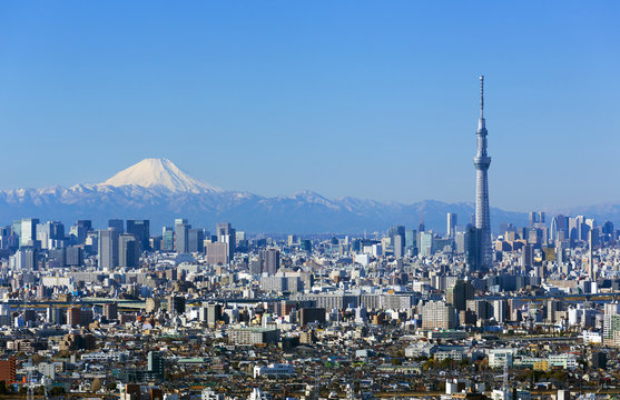 ［東京都市風景］快晴青空・富士山と東京スカイツリー・東京都心の高層ビル群を一望