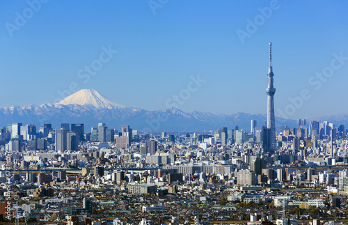 東京都市風景 快晴青空 富士山と東京スカイツリー 東京都心の高層ビル群を一望 Wall Mural Oka