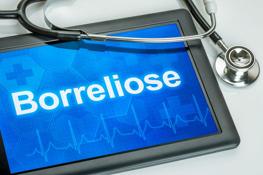Tablet mit der Diagnose Borreliose auf dem Display
