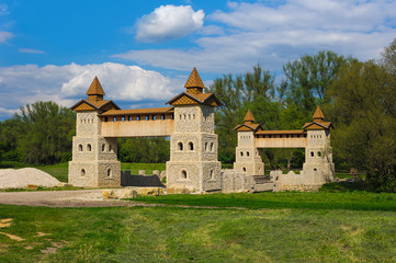 Naklejka premium landscape rural view with ancient stones castle tower