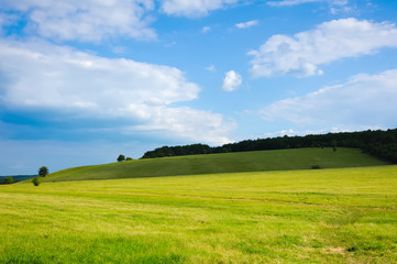 beauty green summer rural landscape view on blue sky backgrounds
