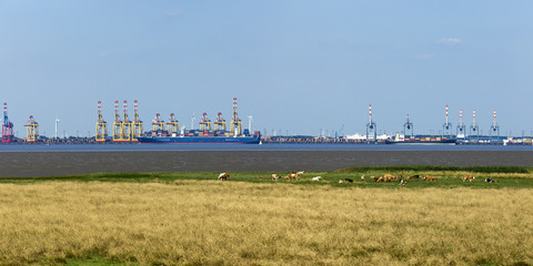 Fototapete bei efototapeten.de bestellen   