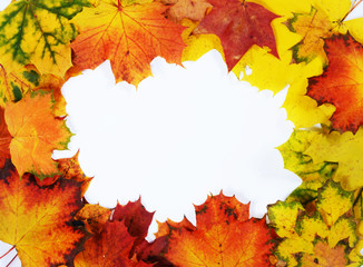 frame made of autumn leaves