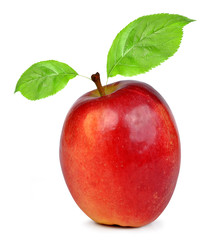 red apple isolated on white