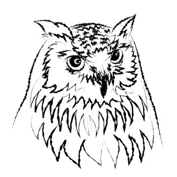 siberian eagle owl, or bubo bubo sibiricus.vector