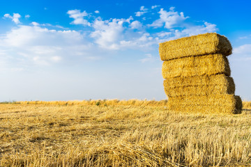 Piled hay bales on a field against blue sky with clouds.