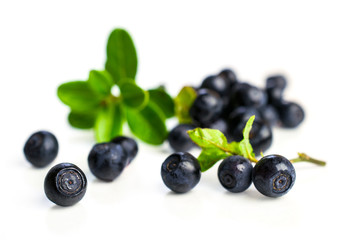 blueberries with leaves