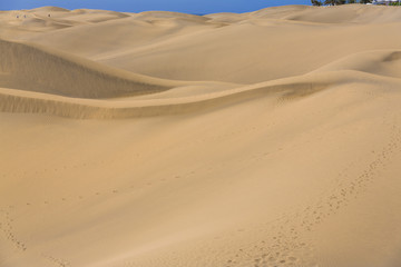 Maspalomas Duna - Desert in Canary island Gran Canaria