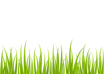 Green grass border for Your design