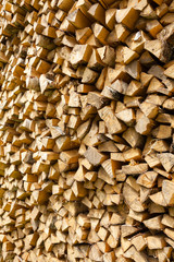 Birch firewood pile