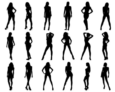 Silhouettes of beautiful and sexy girls, vector