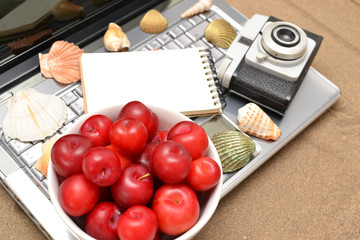 Laptop, shells, red plums, old camera and notebook