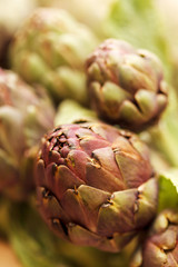Obraz premium Artichoke
