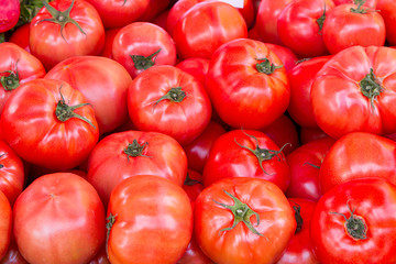 raw tomatoes on market