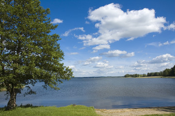 Lake view