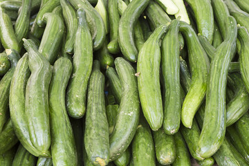 Fresh green cucumber collection outdoor on street market